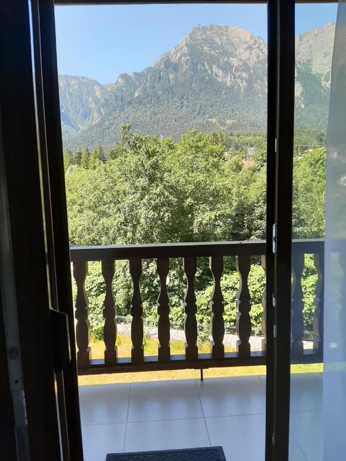 Apartment Eminescu Premium Luxury Busteni