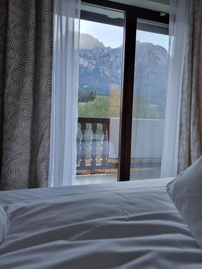 Eminescu Premium Luxury * Busteni