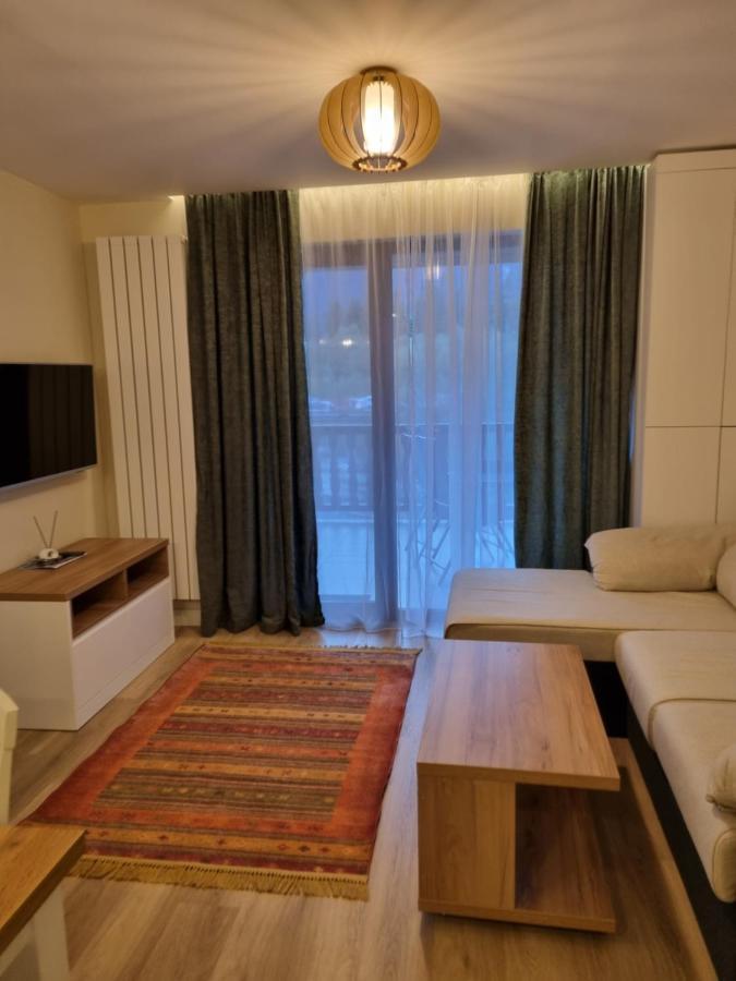 Apartment Eminescu Premium Luxury Busteni