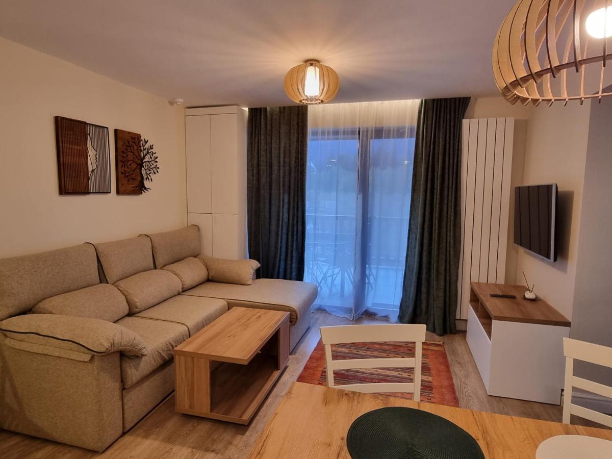 Eminescu Premium Luxury Apartment Busteni