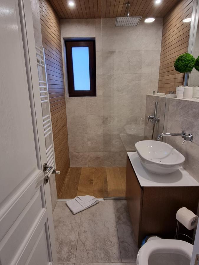 Eminescu Premium Luxury Apartment Busteni