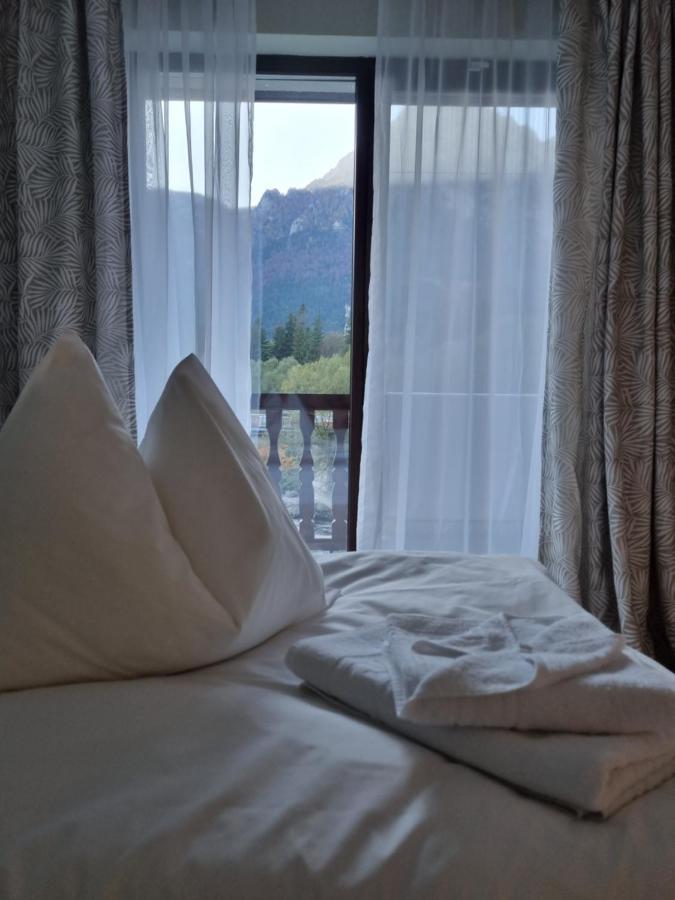Eminescu Premium Luxury Apartment Busteni