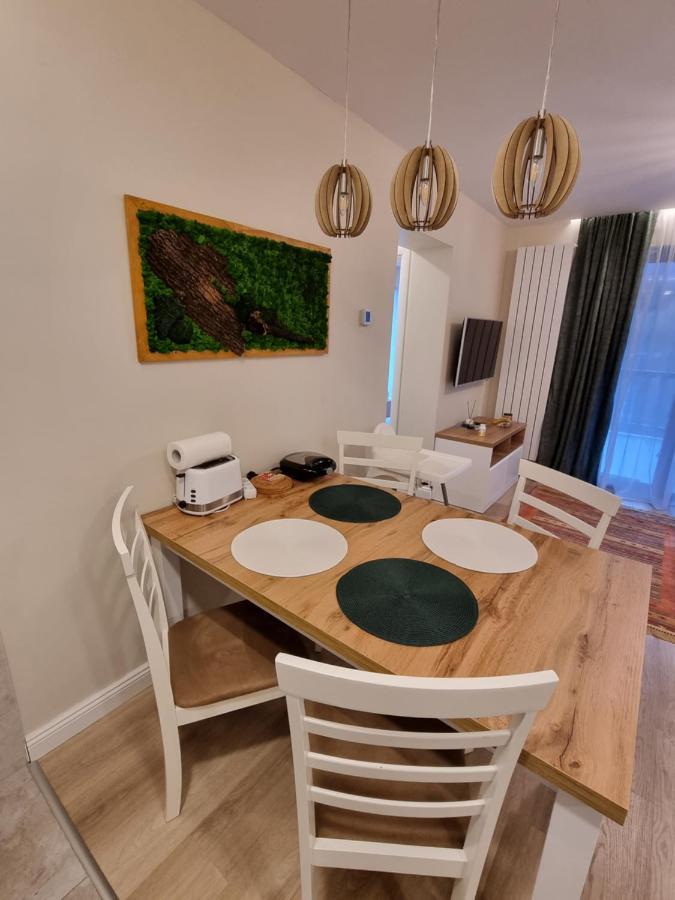 Apartment Eminescu Premium Luxury Busteni