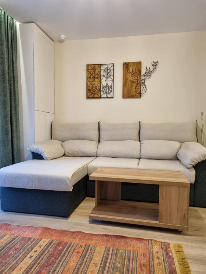 Apartment Eminescu Premium Luxury Busteni