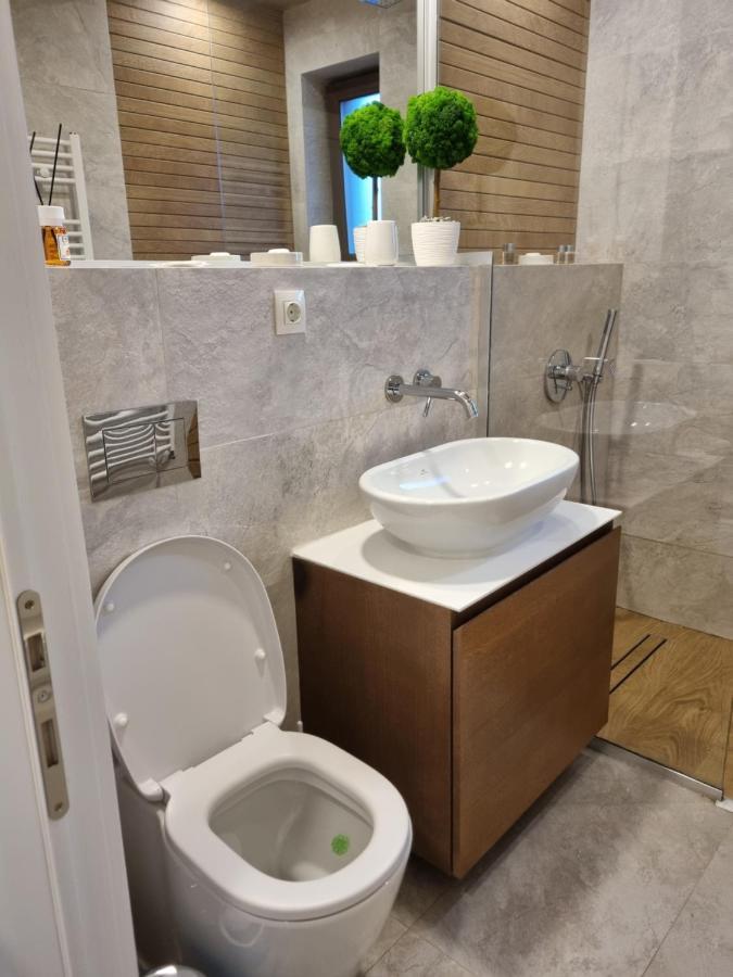 Eminescu Premium Luxury Apartment Busteni