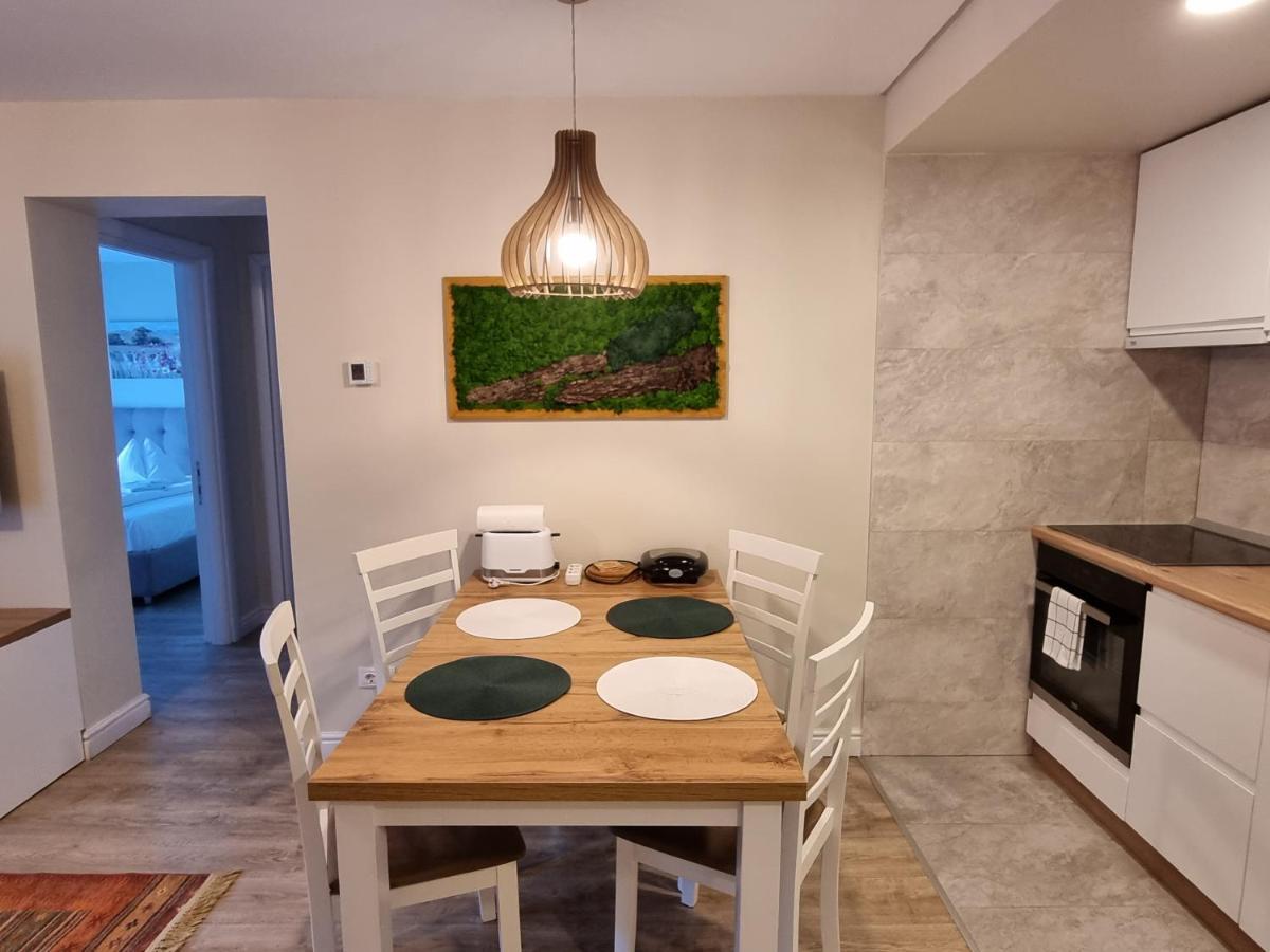 Eminescu Premium Luxury Apartment Busteni